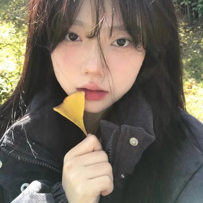 蓝眼睛波利